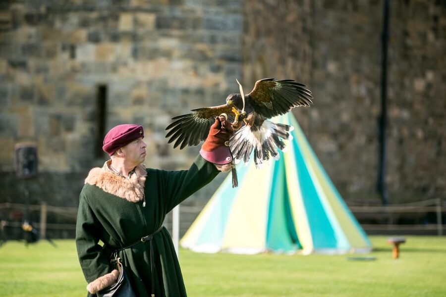 Alnwick: Alnwick Castle Ticket - Artisans Courtyard: Hands-On Medieval Play for Families