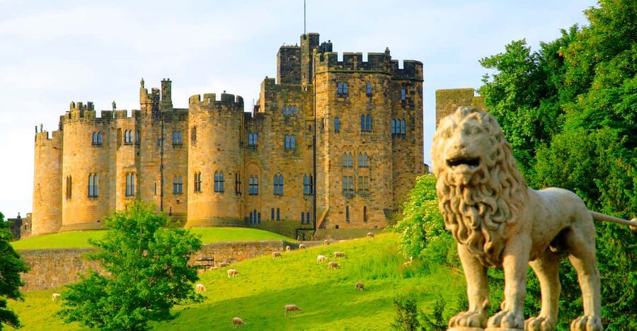 Alnwick: Alnwick Castle Ticket - Renaissance State Rooms and the Private Art That Actually Impresses