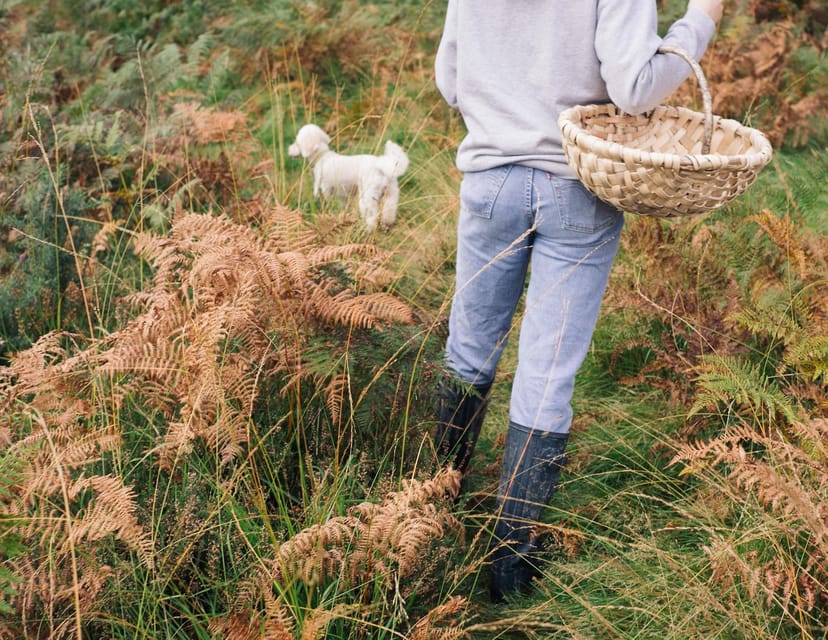 Beginner Foraging Walk: Wild food walking tour & tasters - Key highlights you will actually care about