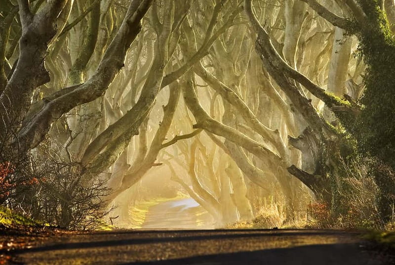 Belfast: Game of Thrones - Iron Islands & Giant's Causeway - Giant’s Causeway UNESCO: what 75 minutes really means
