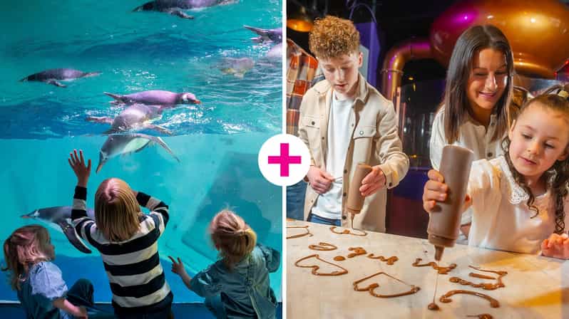 Birmingham: Cadbury World & SEA LIFE Birmingham - UK Sea Otters: A Real Species Moment for Kids