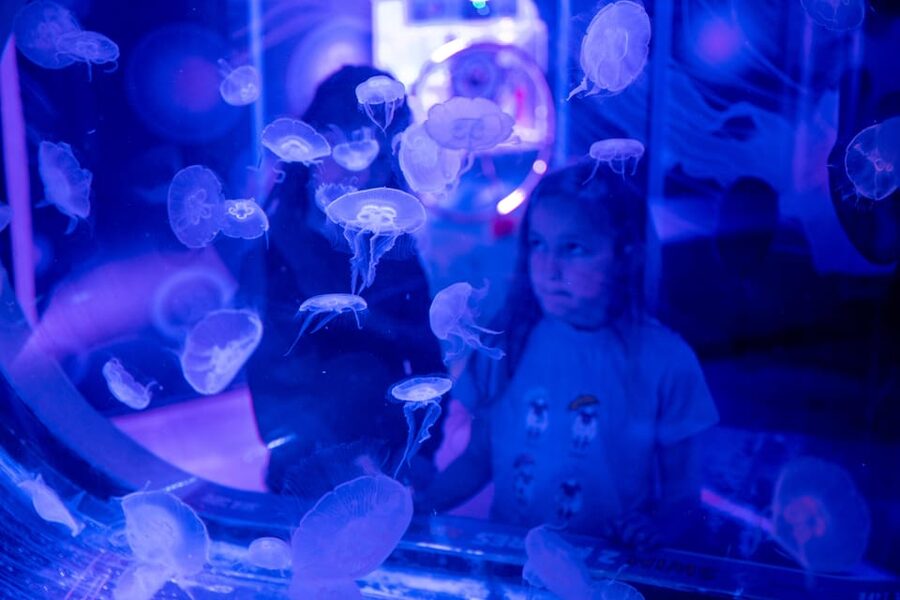 Birmingham: Cadbury World & SEA LIFE Birmingham - Who This Experience Suits Best