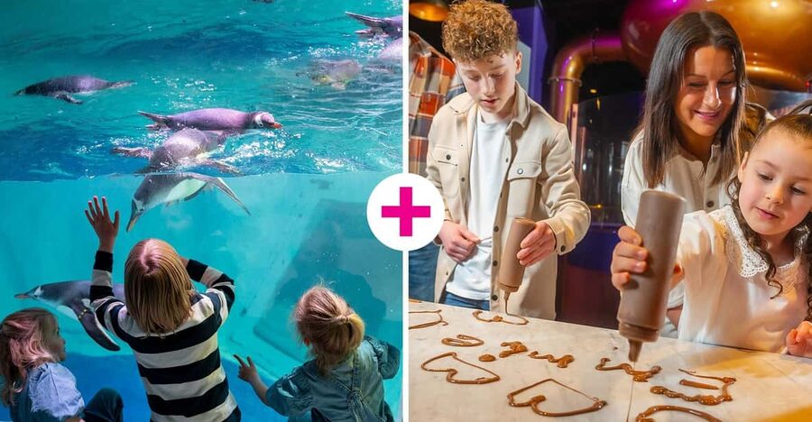 Birmingham: Cadbury World & SEA LIFE Birmingham - Handy Tips to Make the Day Feel Easier