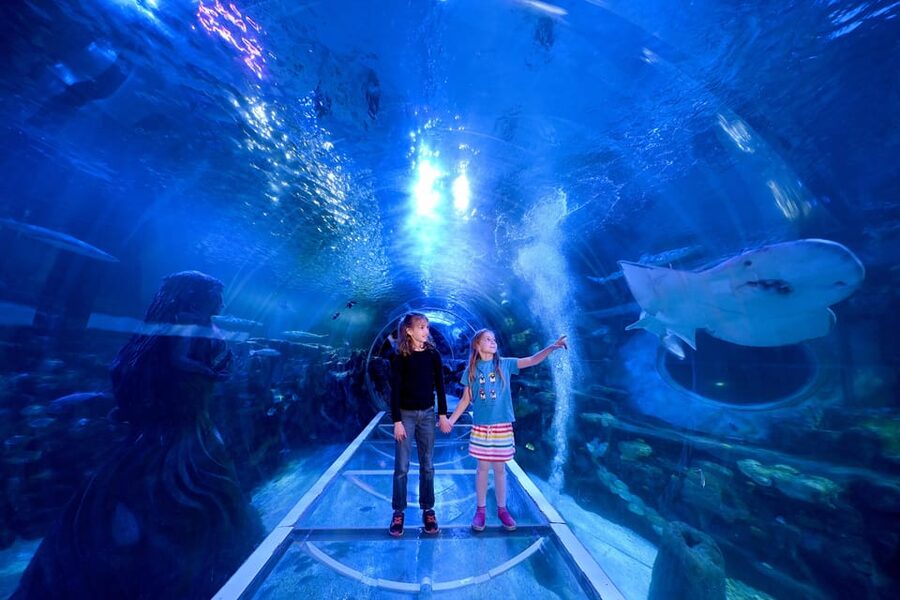 Birmingham: Cadbury World + SEA LIFE + LEGOLAND Discovery - How This Birmingham Day Works for Families