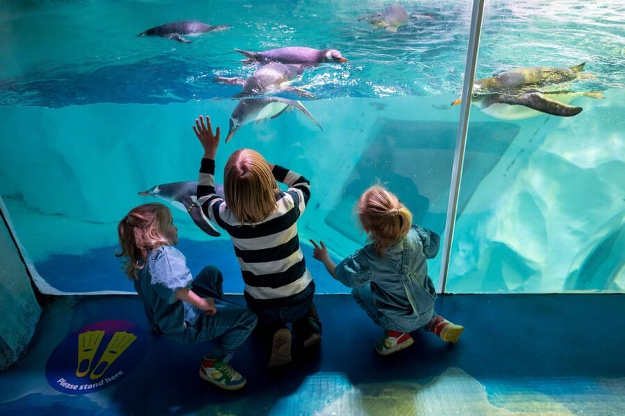 Birmingham: Cadbury World + SEA LIFE + LEGOLAND Discovery - Should You Book This Cadbury World, SEA LIFE, and LEGOLAND Day?