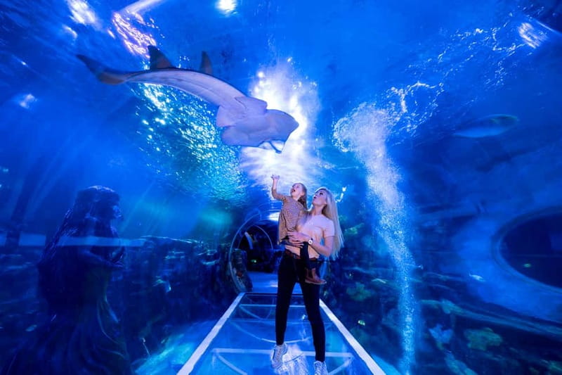 Birmingham: National Sea Life Centre Entrance Ticket - SEA LIFE Centre Birmingham: a straightforward indoor day in West Midlands