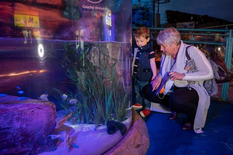Birmingham: National Sea Life Centre Entrance Ticket - How long it takes: plan for a 1-day visit that can feel short