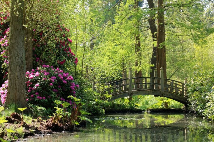 Birmingham: Winterbourne House and Garden Admission Ticket - Key things to know before you go