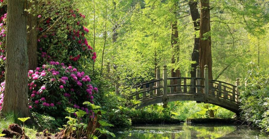 Birmingham: Winterbourne House and Garden Admission Ticket - Who should book Winterbourne House, and who might skip it