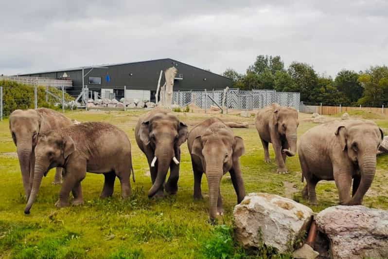 Blackpool: Zoo Admission Ticket - Arriving at Blackpool Zoo and choosing your day plan