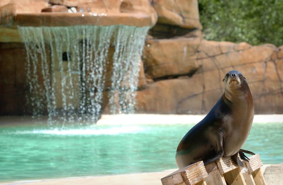 Blackpool: Zoo Admission Ticket - Clean layouts, walkability, and how to handle crowds