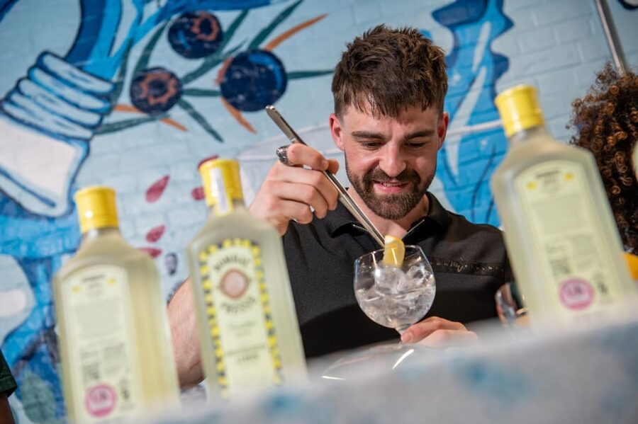 Bombay Sapphire Gin Distillery Tour - Price and value: is $29 good value?