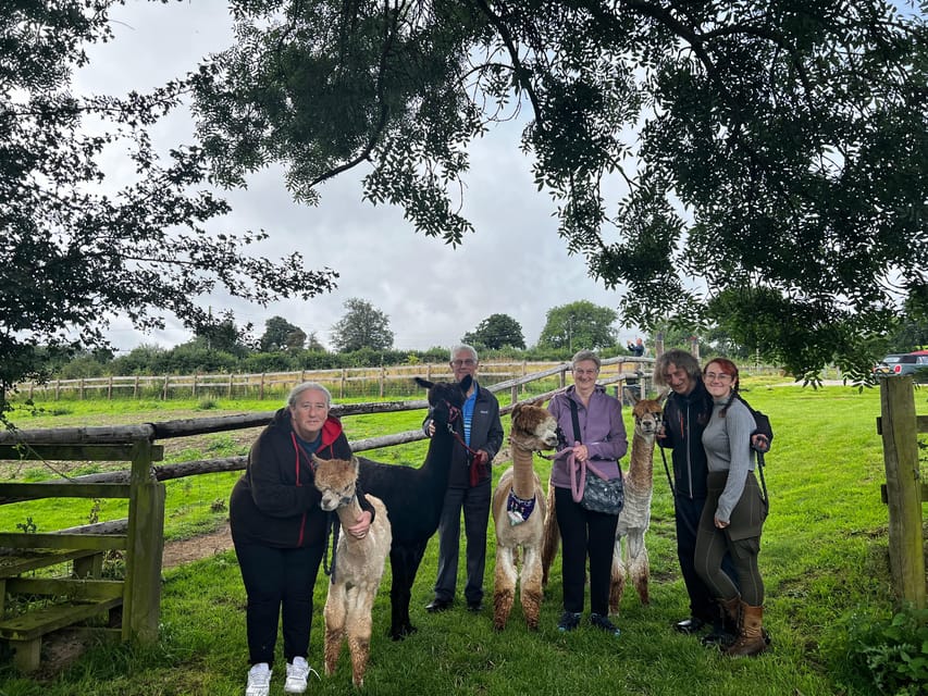 Brackenfield: Alpaca Trek - Practical Tips: Shoes, Weather, and Farm Rules That Keep It Enjoyable