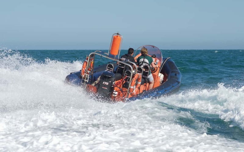 Brighton: Powerboat Ride - Brighton Powerboat Ride: Why a RIB feels different than a big boat
