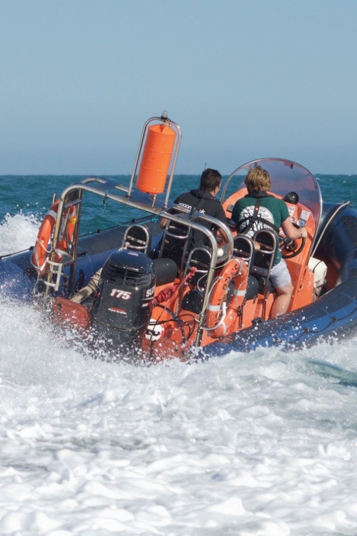 Brighton: Powerboat Ride - Who should book this powerboat ride in Brighton