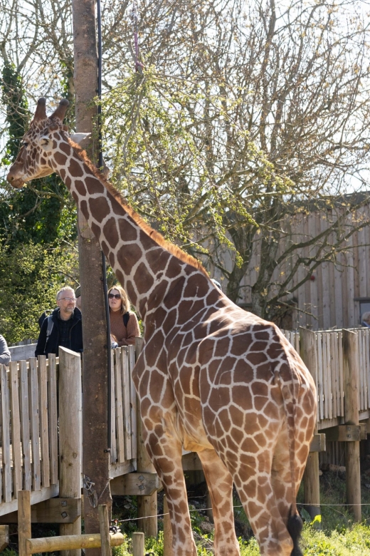 Bristol: Bristol Zoo Project Entry Ticket - Snacks, ice cream, and a picnic plan at Tower Meadow