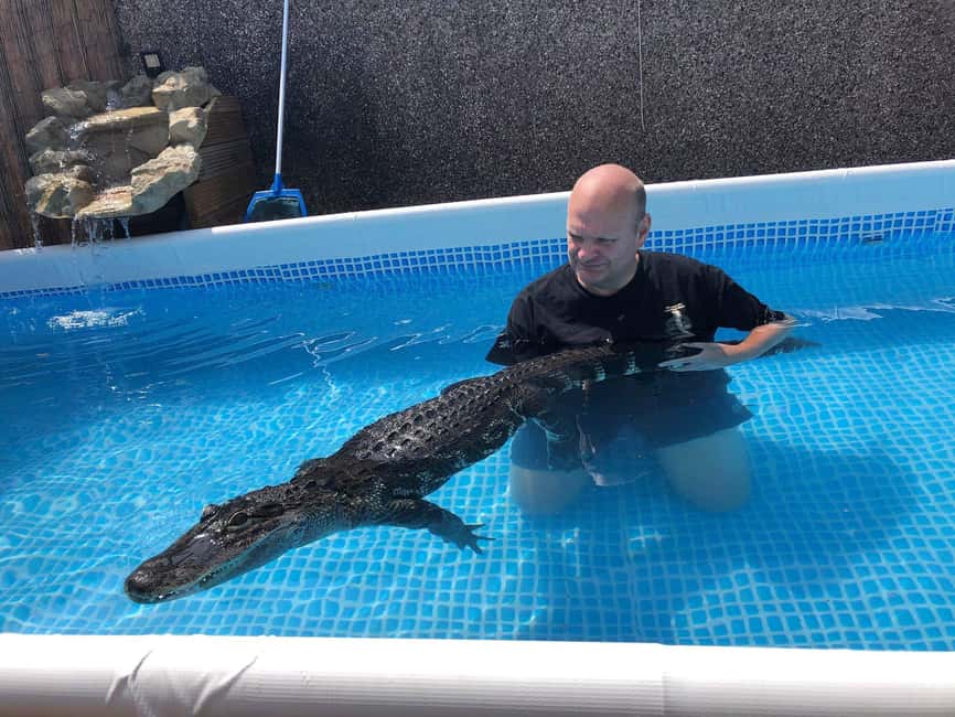 Bristol: Crocodile Swimming Experience coffee and cake - Key highlights you will actually care about