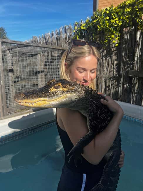 Bristol: Crocodile Swimming Experience coffee and cake - After the Swim: Guided Crocodiles and Venomous Snakes Tour