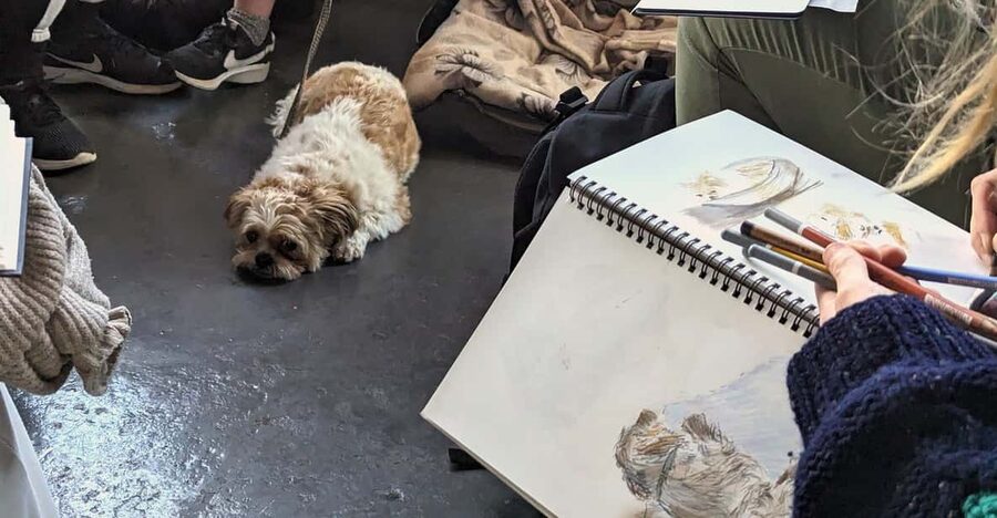 Bristol: Dog Life Drawing led by local Artist Cai Burton - Entering KIT FORM, Jamaica Street Studios in Bristol