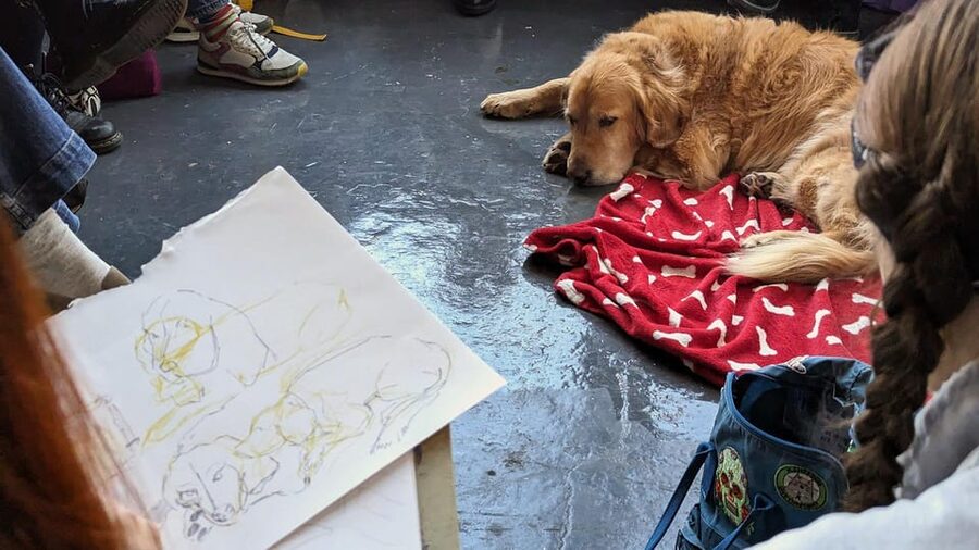 Bristol: Dog Life Drawing led by local Artist Cai Burton - Cai Burton’s Warm-Ups, and How You Actually Improve Fast