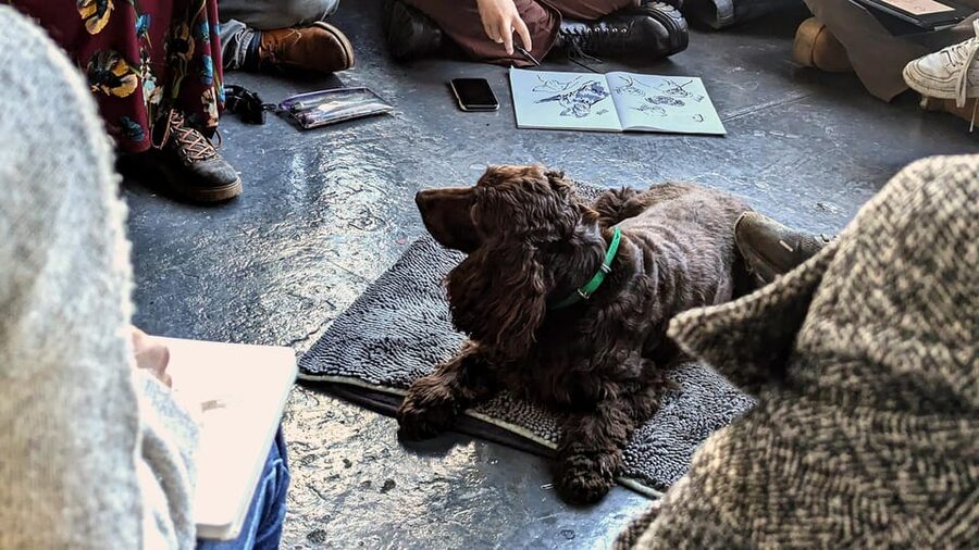 Bristol: Dog Life Drawing led by local Artist Cai Burton - Break Time: Owners, Dog Time, and Better Looking