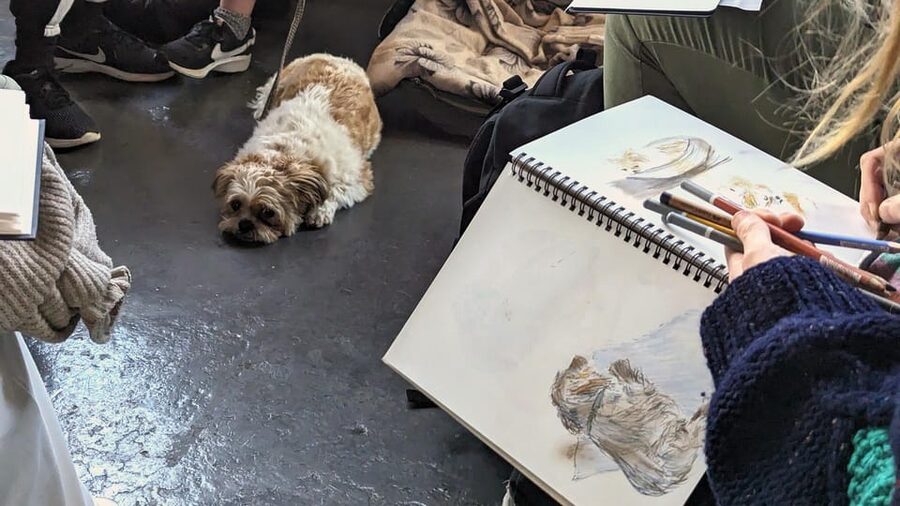 Bristol: Dog Life Drawing led by local Artist Cai Burton - Meeting Your Dogs, Then Your Sketching Challenge