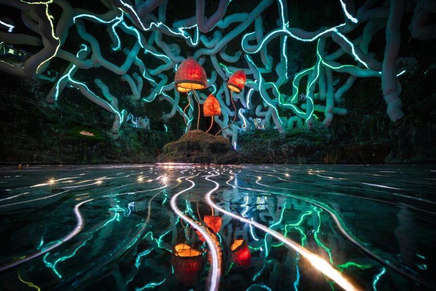 Bristol: Wake The Tiger Amazement Park Entry Ticket - Art Installations You Can Touch, Pull, Push, and Solve