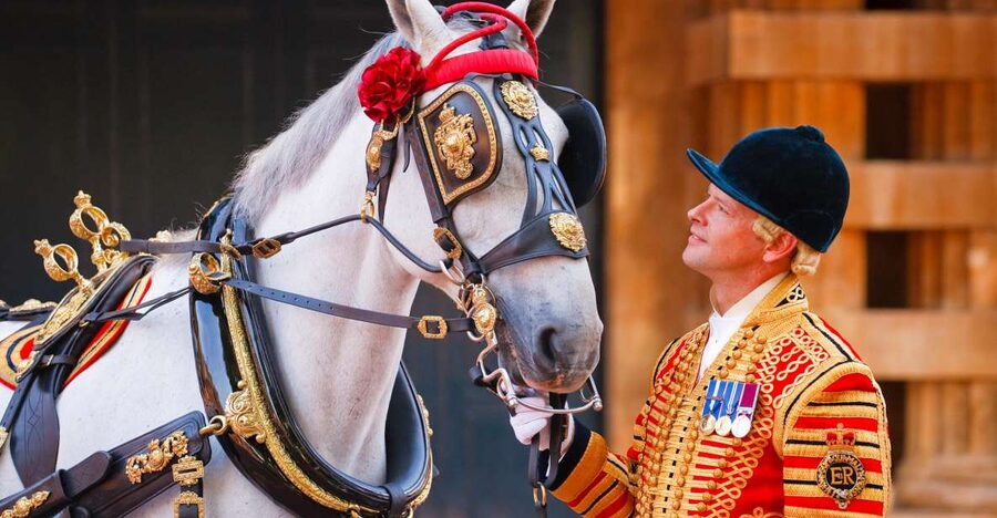 Buckingham Palace: The Royal Mews Entrance Ticket - Inside the working stables, horses and tack up close