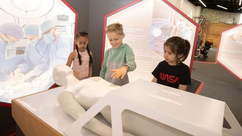 Cardiff: Techniquest Science & Discovery Centre Entry Ticket - Techniquest in Cardiff Bay: a one-day STEM mission with real variety