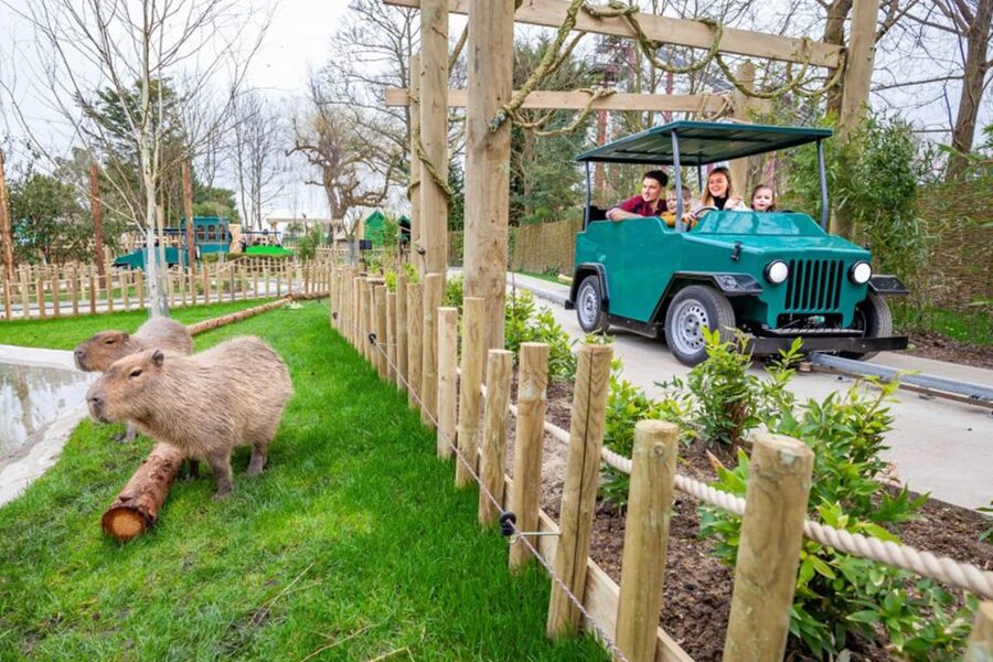 Chessington World of Adventures Resort: Entrance Ticket - Gruffalo World Rides: The World’s First Gruffalo Plus a Mouse River Journey