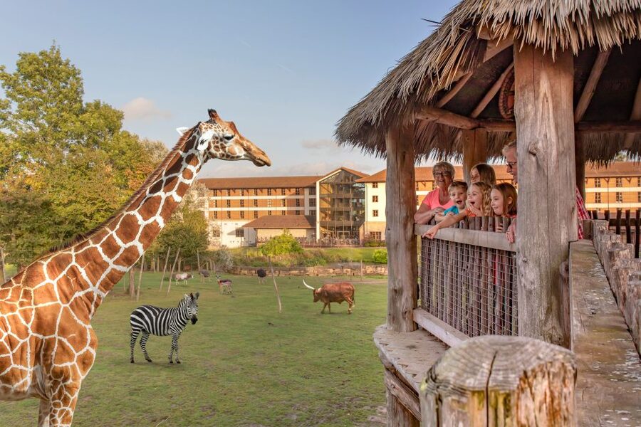 Chessington World of Adventures Resort: Entrance Ticket - Making Your Day Work: A Smart Way to Sequence Lands and Rides