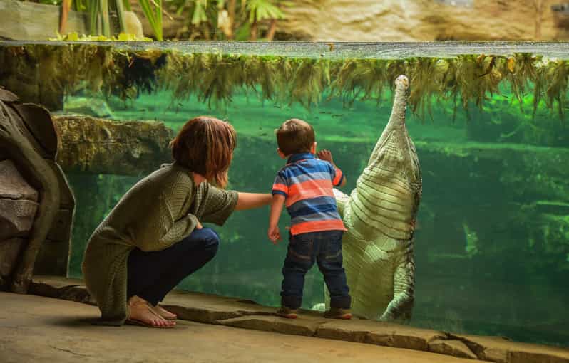 Chester: Chester Zoo Entry Ticket - Key highlights worth planning around
