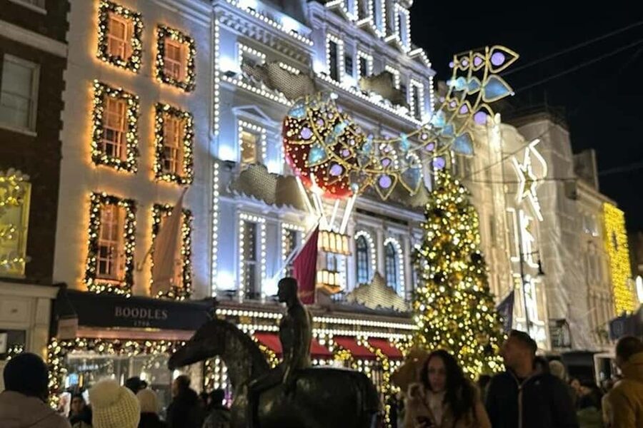 Christmas Lights Taxi Tour with Hotel Pickup - Who this Christmas taxi tour suits best