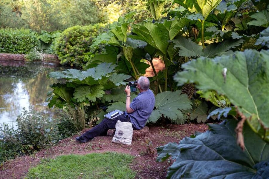 Cockington: Sunset Sketch and Stroll with Sketch Kit - Cockington Court stroll stops, arboretum to apple orchard to sea views