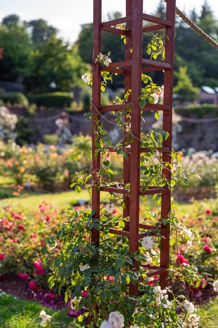 Cockington: Sunset Sketch and Stroll with Sketch Kit - Should you book this sketch kit session at Cockington Court?