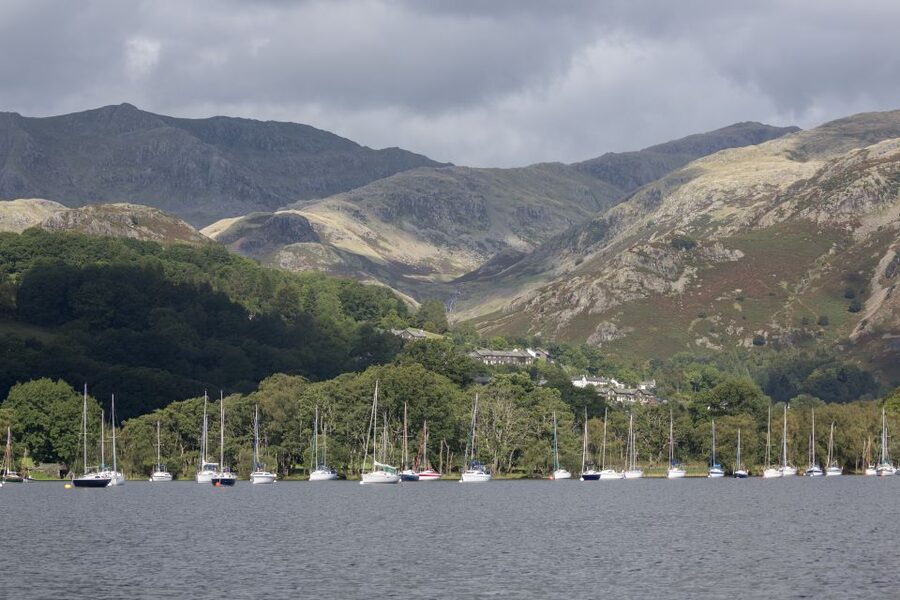 Coniston Water: 60-Minute Wild Cat Island Cruise - Where you board: Coniston Boat Landings near the Bluebird Café