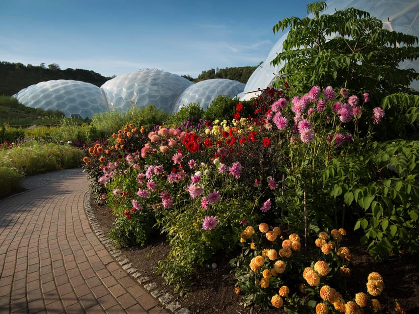 Cornwall: Eden Project Entry Ticket - Key Things to Know Before You Go