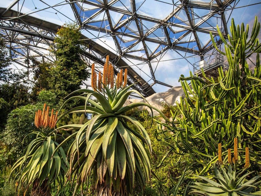 Cornwall: Eden Project Entry Ticket - Who Should Book This and Who Should Adjust Expectations