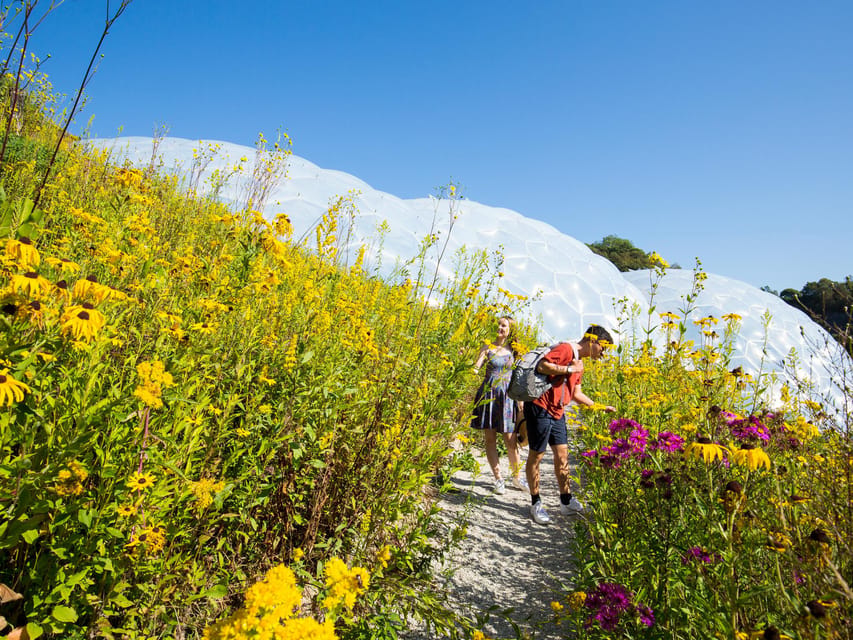Cornwall: Eden Project Entry Ticket - Outdoor Gardens, Art, and the Included Exhibitions That Keep It Fresh