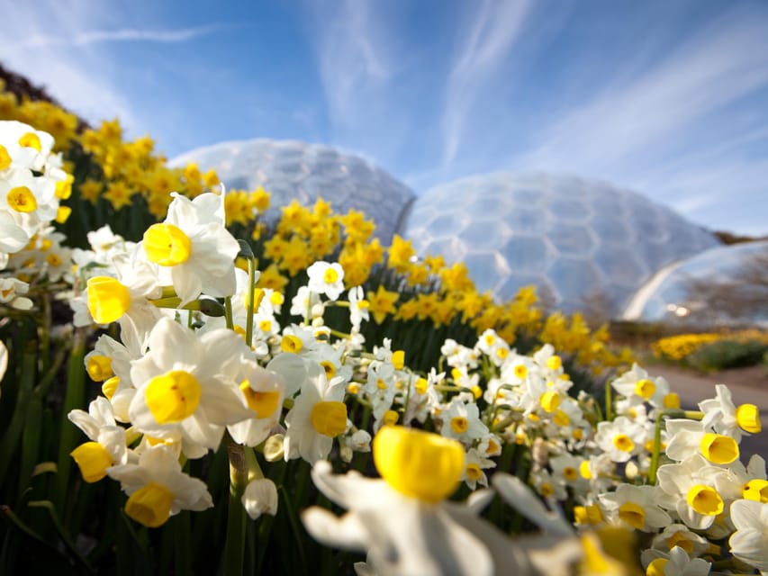 Cornwall: Eden Project Entry Ticket - Food, Coffee, and Restrooms: Where the Day Can Slow Down