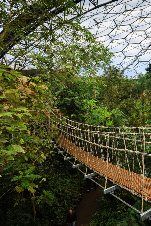 Cornwall: Eden Project Entry Ticket - Walking, Parking, and Shuttles: Make the Site Work for Your Body