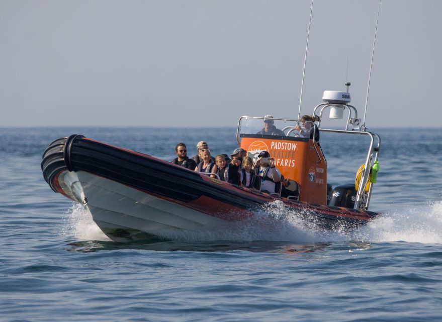 Cornwall: Guided Seal Safari by Boat - What to Wear and Bring for a Comfortable Hour