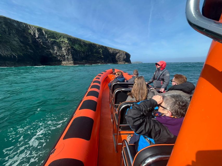 Cornwall: Guided Seal Safari by Boat - The RIB Ride: Why Speed, Bumps, and Sea Spray Are Part of the Deal