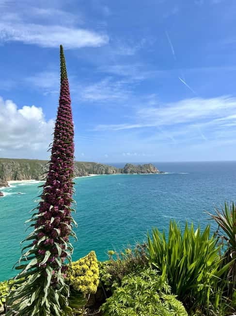 Cornwall: Private Guided Tour - Hillforts and Medieval Details That Change How You See the Region