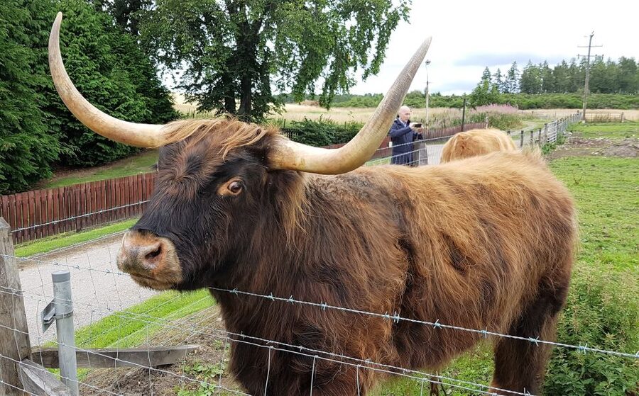 Craigs Luxury Speyside Private Whisky Tour - Practical tips to make the most of your Speyside day