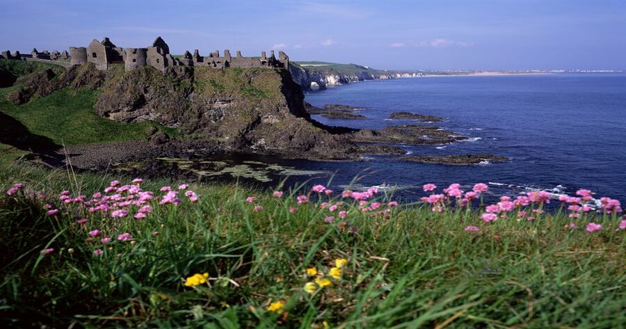 Dublin: Belfast (Titanic or Taxi), Dunluce & Causeway Trip - Giant’s Causeway: walking the basalts and learning the myth