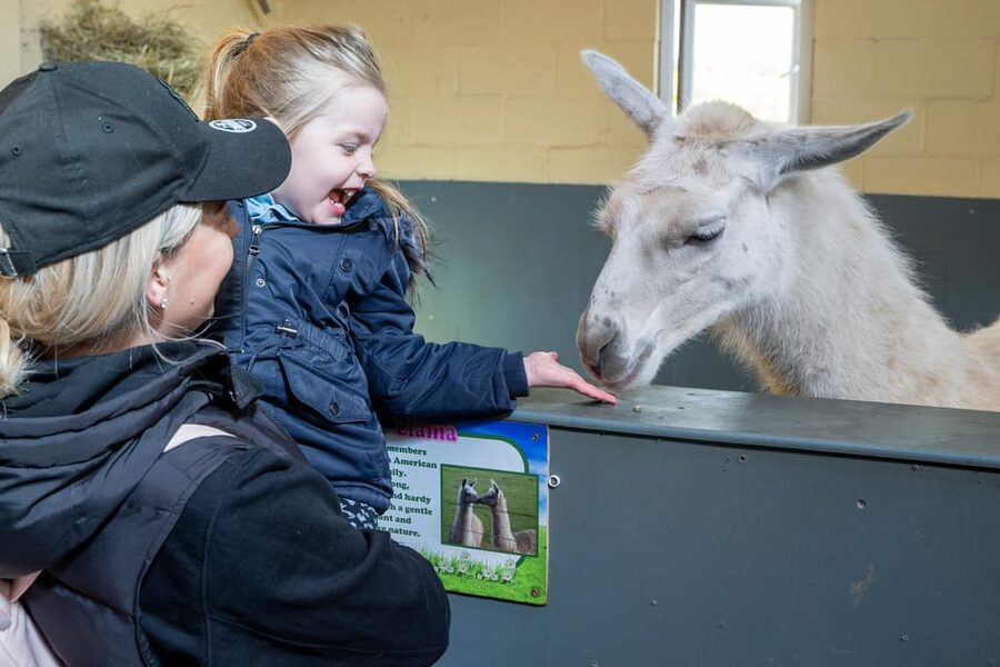 Durham: Adventure Valley Farm Park Entry Ticket - Key things I’d plan around at Adventure Valley