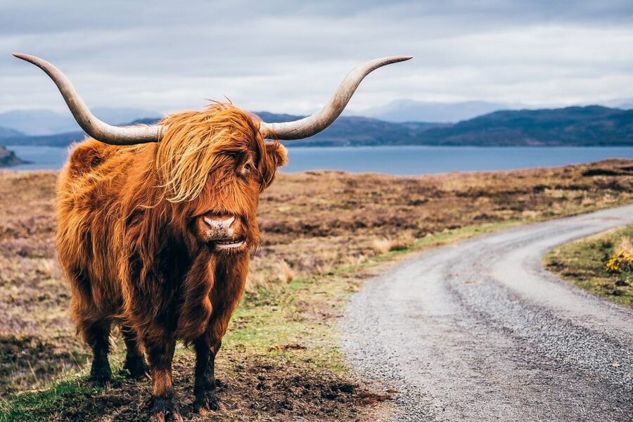 Edinburgh: 3-Day Isle of Skye, Highlands, and Loch Ness Tour - Why this 3-day Highlands and Skye route works