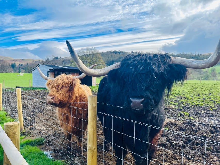 Edinburgh: Glenfinnan Viaduct, Glencoe & Fort William - Who should book this Highlands day trip from Edinburgh
