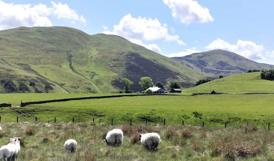 Edinburgh: Hill & Nature Hike With a Local - FAQ